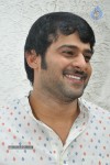 Prabhas Stills - 68 of 75