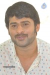 Prabhas Stills - 69 of 75