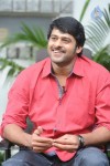 Prabhas Stills - 71 of 75