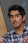 Siddharth Photos - 34 of 31