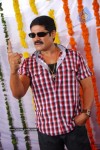 Srihari Gallery - 2 of 28