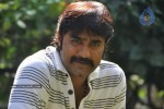 Srikanth Solo Stills - 20 of 40