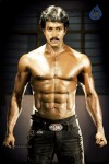 Sunil 6 Pack Photos - 3 of 6
