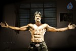 Sunil 6 Pack Photos - 4 of 6