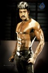 Sunil 6 Pack Photos - 6 of 6
