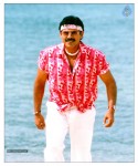 Venkatesh Completes Silver Jubilee Photos - 144 of 139