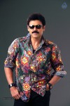 Venkatesh Completes Silver Jubilee Photos - 147 of 139