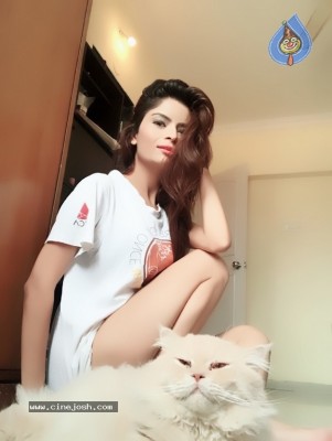 Actress Gehana Vasisth Stills