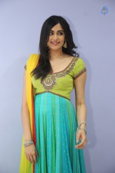 Adah Sharma Pics
