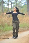 Amala Paul Latest Photos