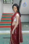 Anchal Stills