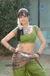 Anitha Gallery