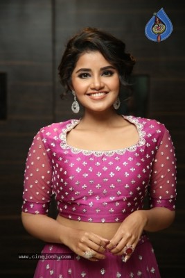 Anupama Parameswaran Photos