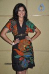 Deeksha Seth Photos