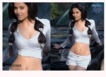 Disha Pandey Portfolio