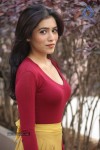 Ghazal Somaiah New Stills