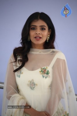 Hebah Patel Pictures