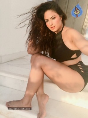 Heroine Nikesha Patel Pics