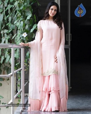 Lavanya Tripathi Photos