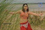 Madhu Sharma In Pravarakyudu Movie Stills