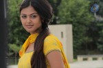 Monal Gajjar New Gallery