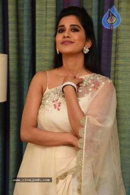 Nabha Natesh New Photos