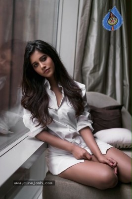 Nabha Natesh Stills