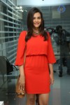 Nazia Hussain New Photos
