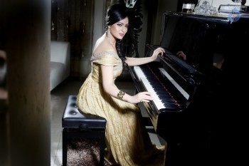 Nikesha Patel Photo Shoot Photos