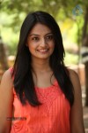 Nikitha Narayan New Pics