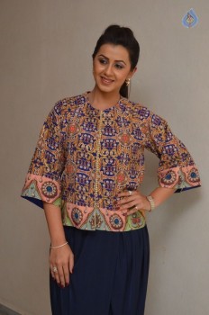 Nikki Galrani Pics