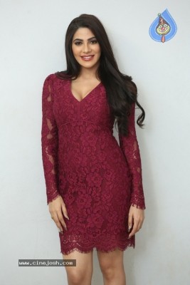 Nikki Tamboli Photos