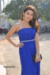 Parul Gulati Stills