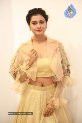 Payal Rajput Photos