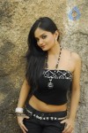 Payal Setti Photo Stills
