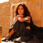 Piaa Bajpai Hot Stills