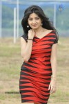 Poonam Kaur New Pics