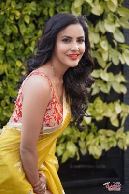 Priya Anand Photos