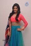 Priyamani New Photos