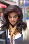 Priyamani New Stills
