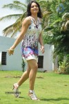Reetu Kaur New Photos