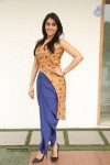 Regina Cassandra New Stills