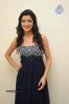 Richa Panai Latest Stills