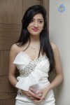 Richa Panai New Hot Stills