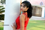 Saaraa Chetti Stills