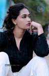Salony Stills