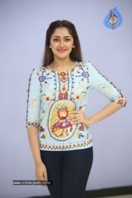 Sayesha Saigal Photos