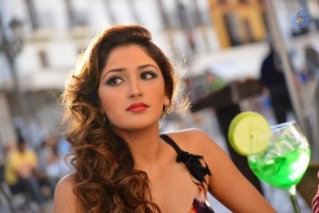Sayyeshaa New Photos