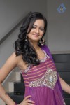 Shanvi Latest Gallery