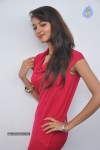 Shanvi Latest Photos